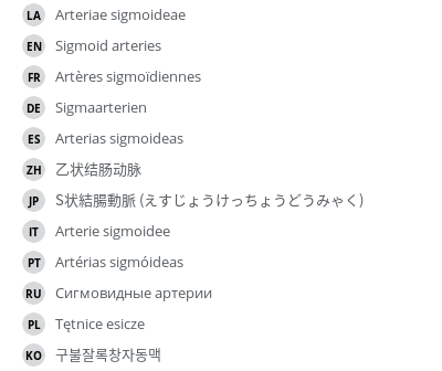 翻译