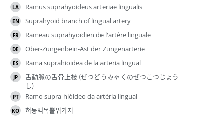 翻译