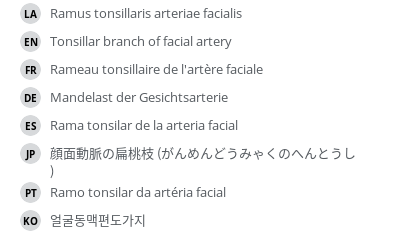 翻译