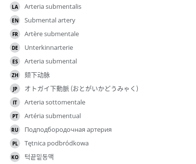 翻译