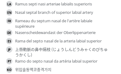 翻译