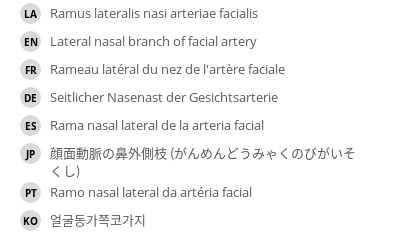 翻译