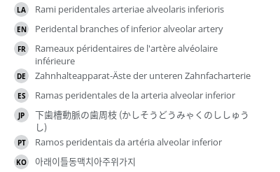 翻译
