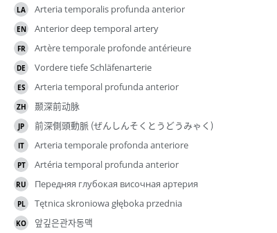 翻译