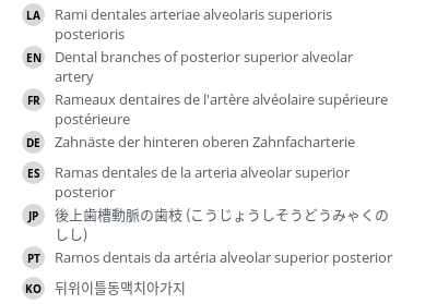 翻译