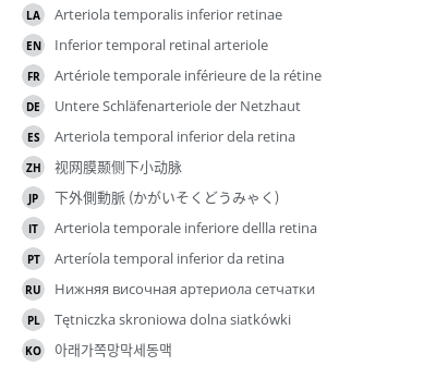 翻译
