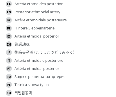 翻译