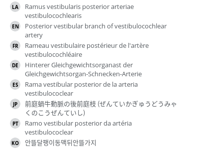 翻译