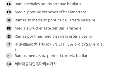 翻译