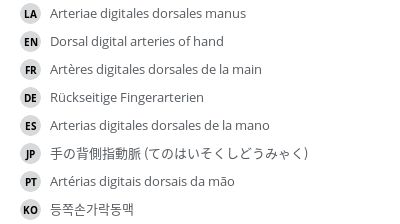 翻译