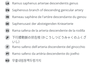翻译