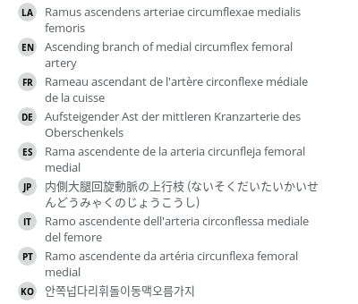 翻译