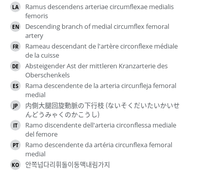 翻译