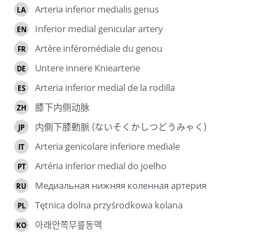 翻译