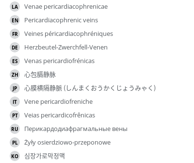 翻译