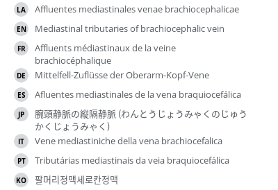 翻译