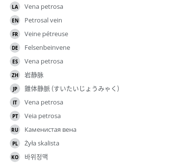 翻译