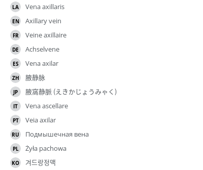 翻译