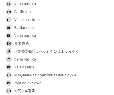 翻译
