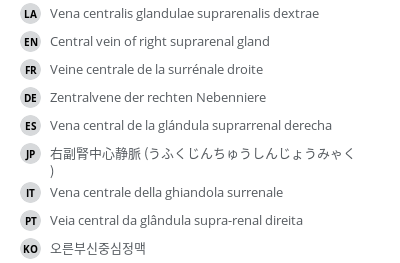 翻译