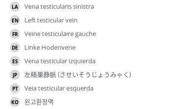 翻译