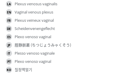 翻译