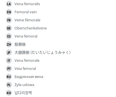 翻译