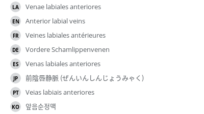 翻译