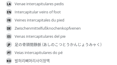 翻译