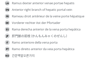 翻译