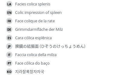 翻译