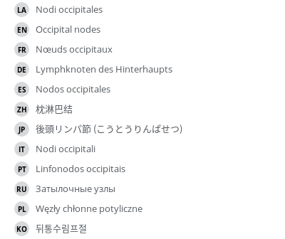翻译