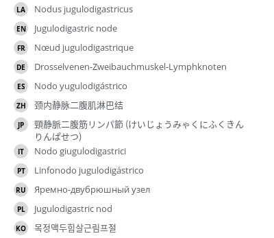 翻译
