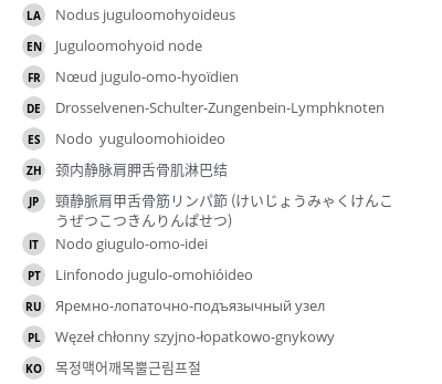 翻译