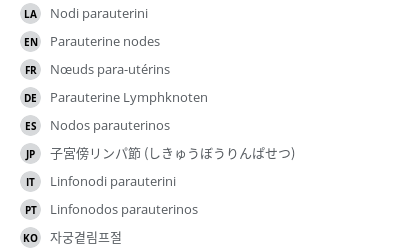 翻译