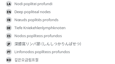 翻译