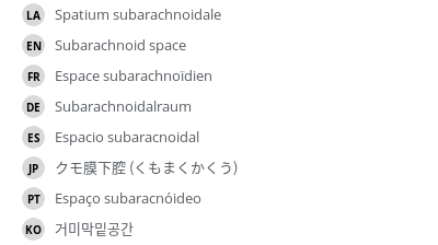 翻译