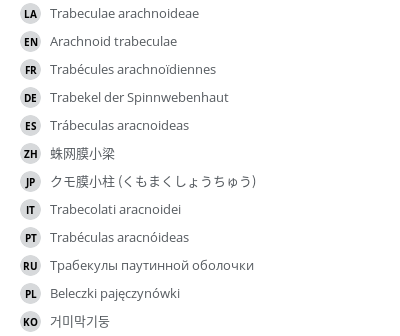 翻译