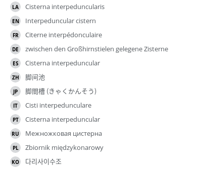 翻译