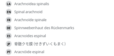 翻译