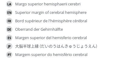 翻译