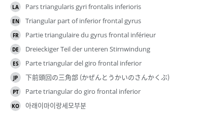 翻译