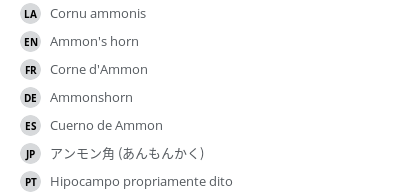 翻译