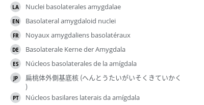 翻译