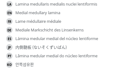 翻译