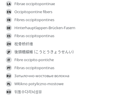 翻译