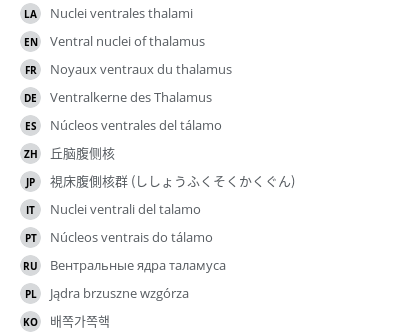 翻译