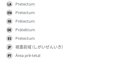 翻译