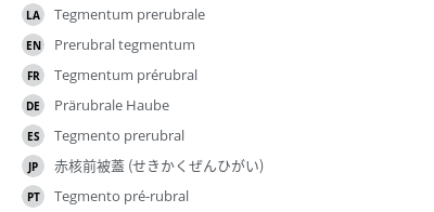 翻译