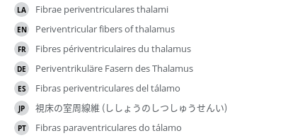 翻译